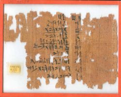 Lahun Papyrus fractions UCL l VIII MI_28_19 thmb2